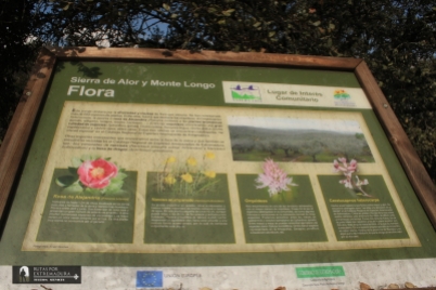 Flora característica de Sierra de Alor